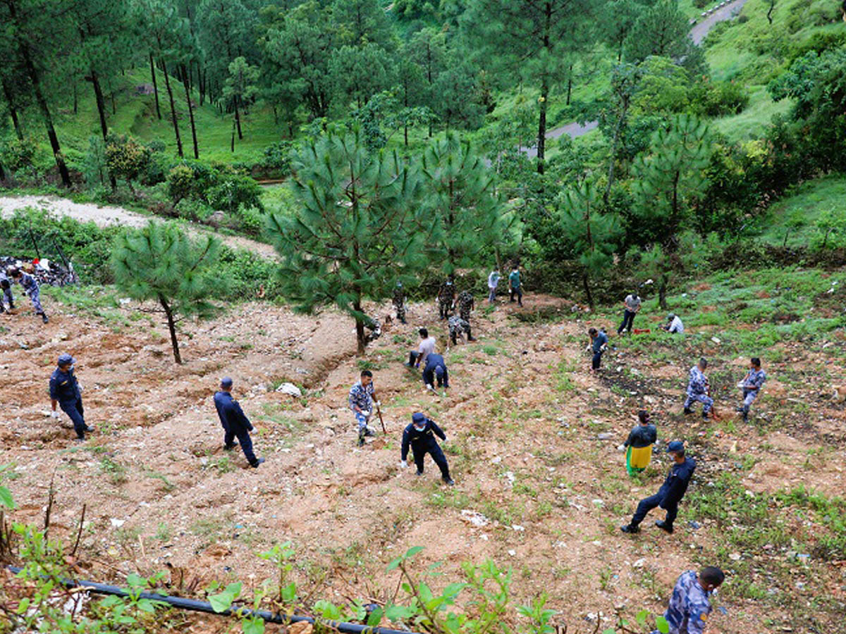 सामुदायिक वन दिवसको अवसरमा बैतडीमा सामूहिक वृक्षारोपण 